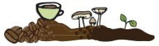 Culture des champignons avec le Marc de Café
