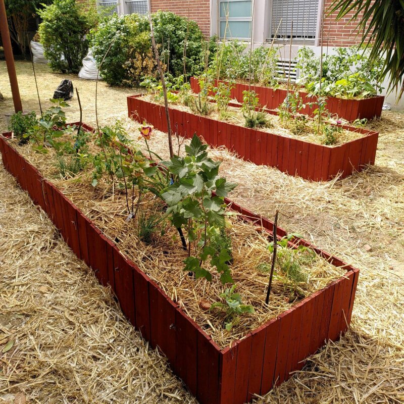 Agribac potager KIT - Grand