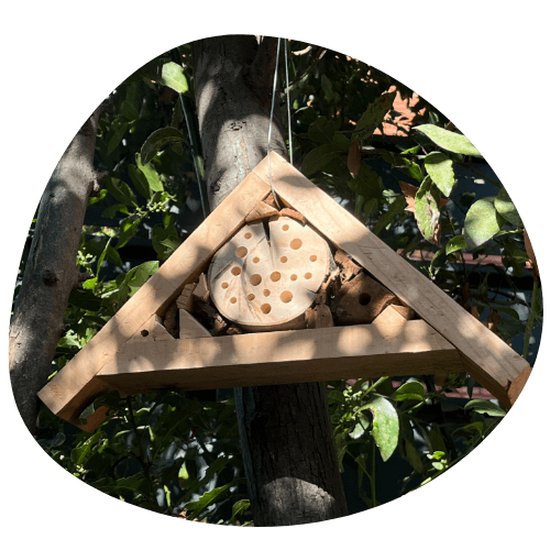 visuel maison à abeilles